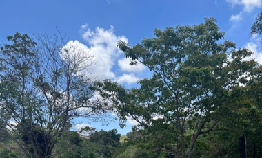 SE VENDE TERRENO EN CHORRERA EL NAZARENO DE 2912M PARA DESARROLLO