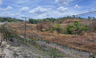Terreno en Venta en Arraiján 4 Ha sobre Autopista