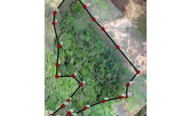 Terreno en Venta en Arraiján 4 Ha sobre Autopista