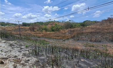 Terreno en Venta en Arraiján 4 Ha sobre Autopista