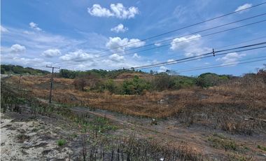 Terreno en Venta en Arraiján 4 Ha sobre Autopista
