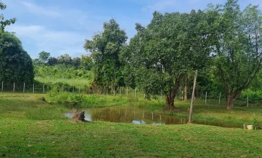3 Bedroom Villa for sale in Huai Sak, Chiang Rai