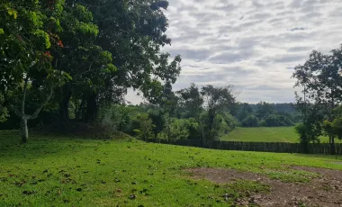 3 Bedroom Villa for sale in Huai Sak, Chiang Rai