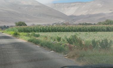 VALLE DE LLUTA TERRENOS HUANTA