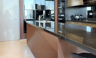 CARMENCITA 180, LAS CONDES
