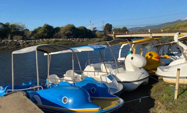 Parcela en venta  en PELLUHUE