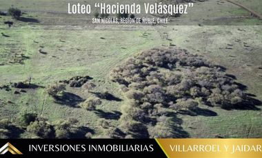 Parcela en Venta en PARCELA EN SAN NICOLÁS, ÑUBLE