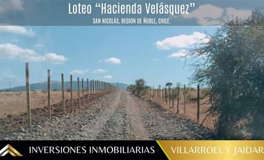 Parcela en Venta en PARCELA EN SAN NICOLÁS, ÑUBLE