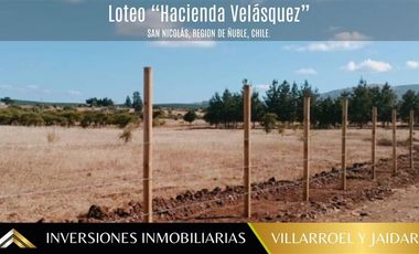 Parcela en Venta en PARCELA EN SAN NICOLÁS, ÑUBLE