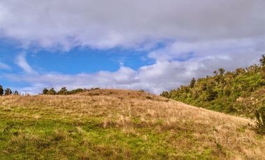 Sitio en Venta en ALDACHILDO - CHALIHUE - CHILOE