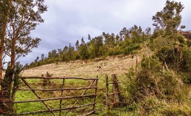 Agrícola en Venta en ALDACHILDO - CHALIHUE - CHILOE