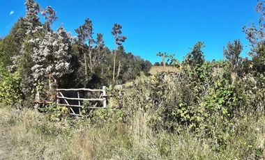 Agrícola en Venta en ALDACHILDO - CHALIHUE - CHILOE
