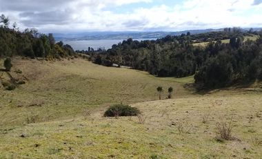 Agrícola en Venta en ALDACHILDO - CHALIHUE - CHILOE