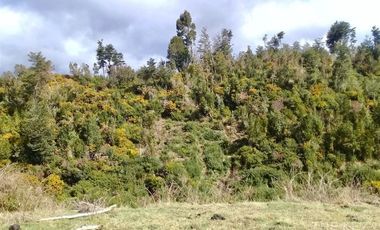 Terreno Construccion  en Venta en ALDACHILDO - CHALIHUE - CHILOE