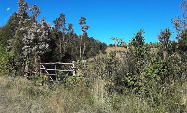 Terreno Construccion  en Venta en ALDACHILDO - CHALIHUE - CHILOE