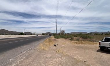 TERRENO EN VENTA, EJIDO SEIS DE ENERO, LERDO DURANGO