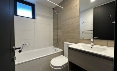 Departamento Semiamoblado 2D ROZAS Concepción