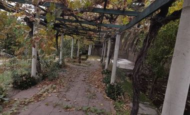 Espaciosa Casa de 2 Pisos en Macul: 5 Dormitorios y Gran Patio Privado