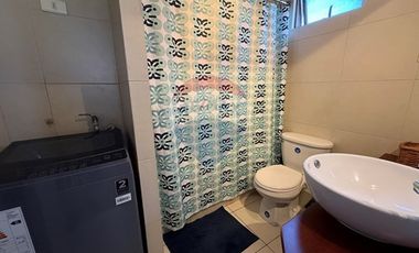 Arriendo dpto Metro Santa Isabel