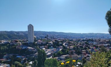 CERRO LAS DELICIAS