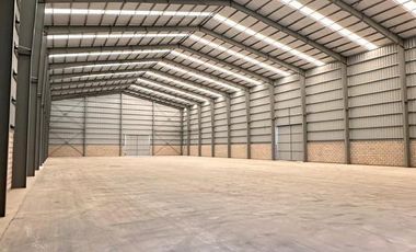 Nave Industrial - Galpon  2100 m2 cubiertos -  El Pato - Berazategui - ALQUILER