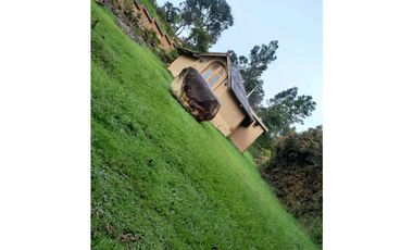 ARRIENDO MALOKA VEREDA SABANA VILLA DE LEYVA - TURISMO