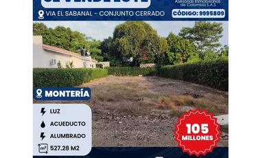 SE VENDE LOTE CAMPESTRE VIA EL SABANAL