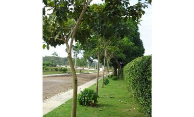 SE VENDE LOTE CAMPESTRE VIA EL SABANAL