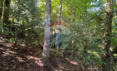 Terreno Urbano de 4.135 m² en Panguipulli