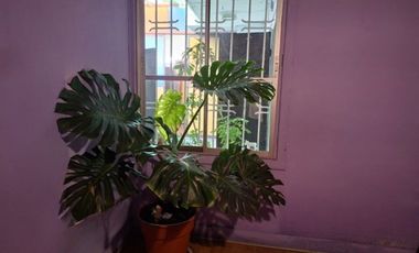 No pierdas esta oportunidad de arriendo !!