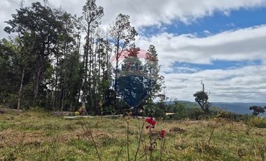 Casa encantadora en 5000 m - Huillinco Chiloé