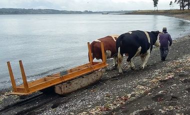 Hermosa Parcela en Isla Quenac, Chiloé - UF490