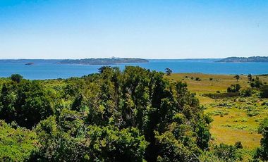 Hermosa Parcela en Isla Quenac, Chiloé - UF490