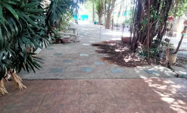 4 Bedroom House for sale in Mahasawat, Nakhon Pathom