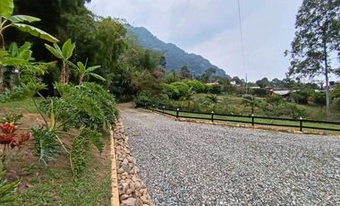 Venta finca en Fredonia Venecia en el suroeste antioqueño