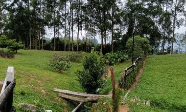Venta finca en Fredonia Venecia en el suroeste antioqueño