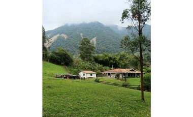 Venta finca en Fredonia Venecia en el suroeste antioqueño