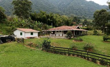 Venta finca en Fredonia Venecia en el suroeste antioqueño