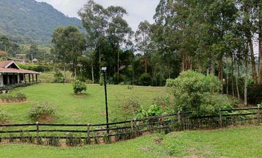 Venta finca en Fredonia Venecia en el suroeste antioqueño