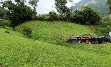 Venta finca en Fredonia Venecia en el suroeste antioqueño