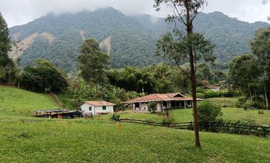 Venta finca en Fredonia Venecia en el suroeste antioqueño