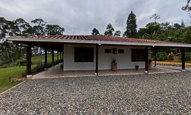 Venta finca en Fredonia Venecia en el suroeste antioqueño