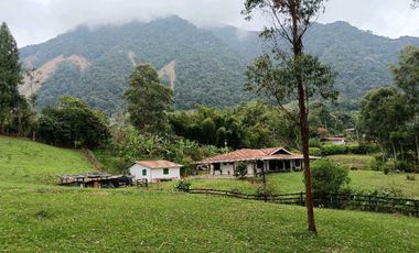 Venta finca en Fredonia Venecia en el suroeste antioqueño
