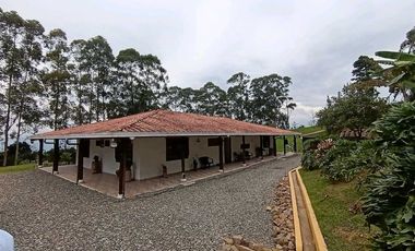 Venta finca en Fredonia Venecia en el suroeste antioqueño