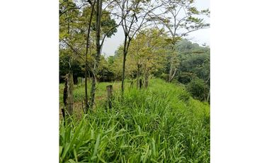 Venta finca en la Garrucha Fredonia Suroeste Antioqueño