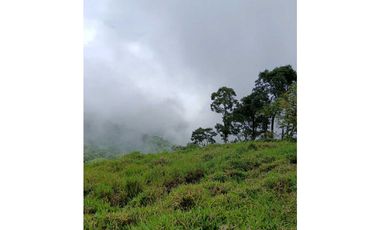Venta finca en la Garrucha Fredonia Suroeste Antioqueño