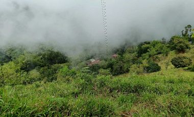 Venta finca en la Garrucha Fredonia Suroeste Antioqueño