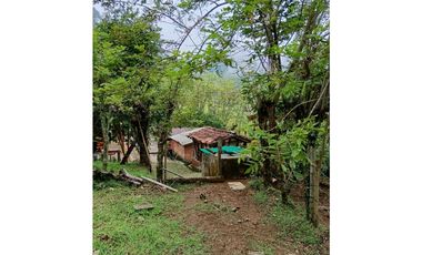 Venta finca en la Garrucha Fredonia Suroeste Antioqueño