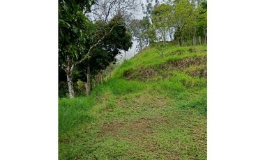 Venta finca en la Garrucha Fredonia Suroeste Antioqueño