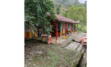 Venta finca en la Garrucha Fredonia Suroeste Antioqueño